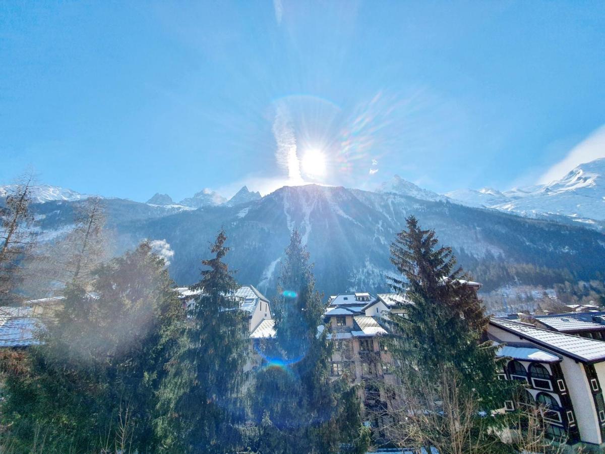 La Riviere Vue Mont Blanc Daire Chamonix Oda fotoğraf